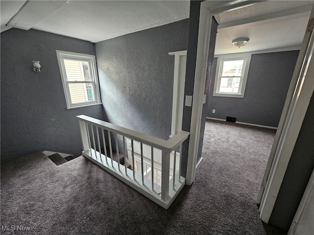 hallway with beam ceiling, plenty of natural light, and dark carpet