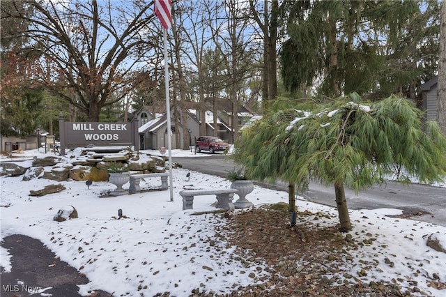 view of yard covered in snow