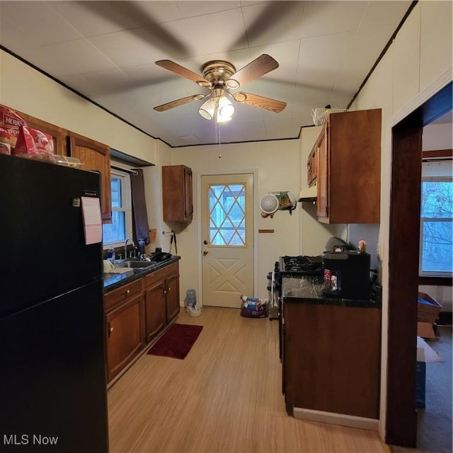 kitchen with ceiling fan, black refrigerator, light hardwood / wood-style floors, and sink