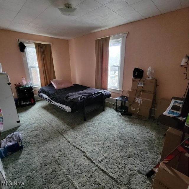 bedroom with carpet