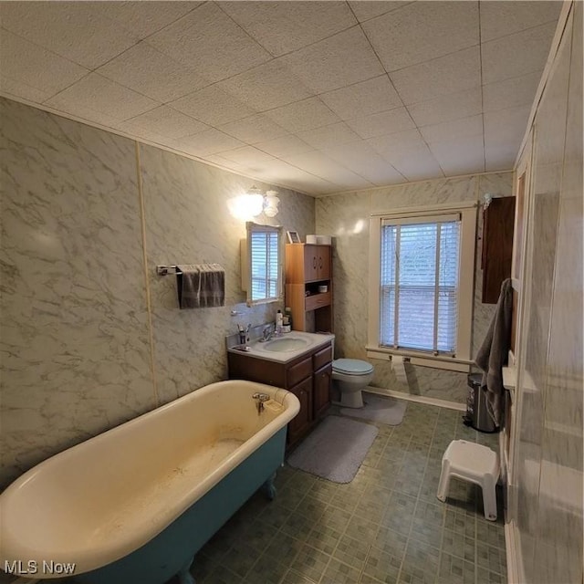 bathroom with a bathing tub, vanity, and toilet