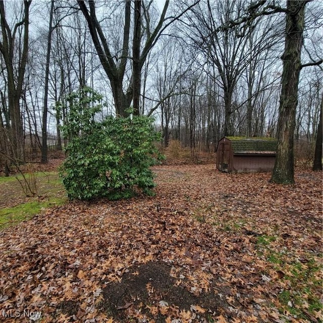 view of yard with a shed