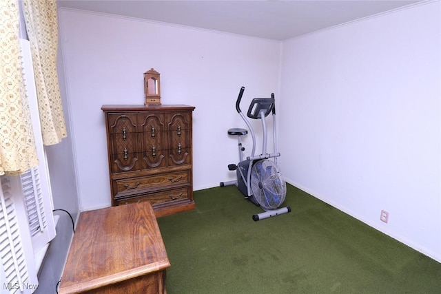 workout area featuring dark colored carpet and ornamental molding