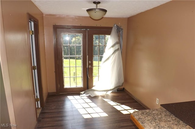 doorway with french doors, dark hardwood / wood-style floors, and a wealth of natural light