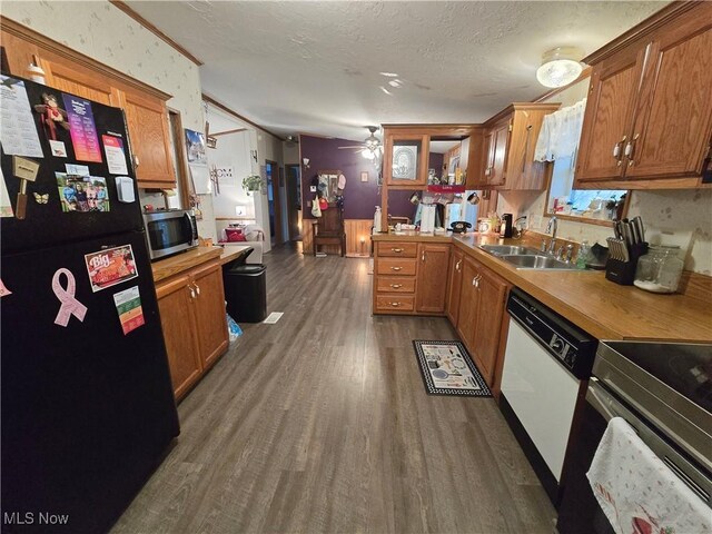 kitchen featuring ceiling fan, sink, dark hardwood / wood-style floors, a textured ceiling, and appliances with stainless steel finishes