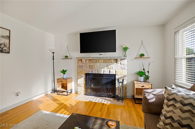 living room with a fireplace and hardwood / wood-style floors