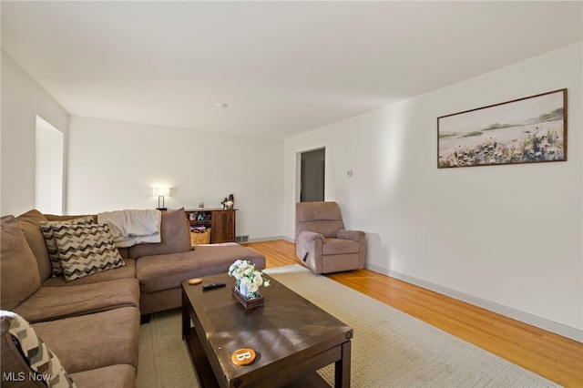 living room featuring hardwood / wood-style flooring