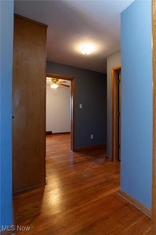 hallway with wood-type flooring