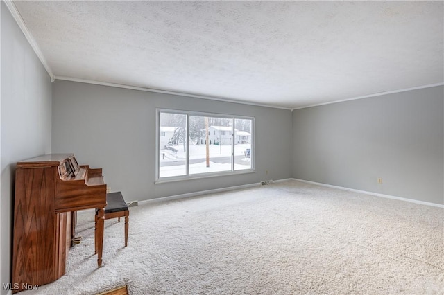 miscellaneous room with carpet, a textured ceiling, and ornamental molding