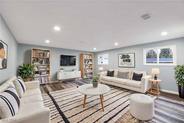 living room featuring wood-type flooring