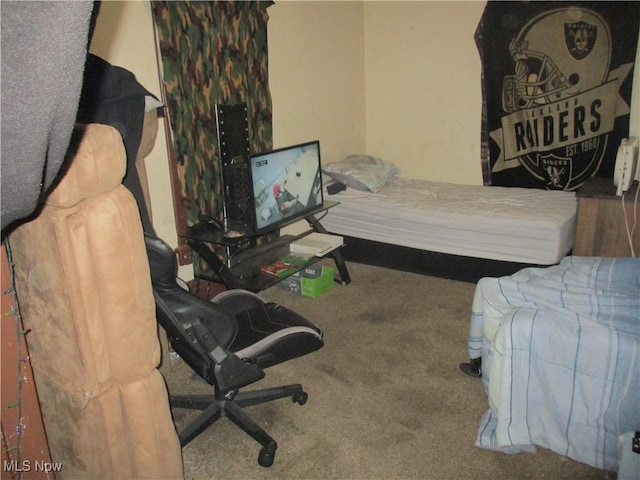 bedroom featuring carpet