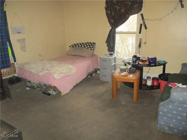 bedroom featuring dark carpet