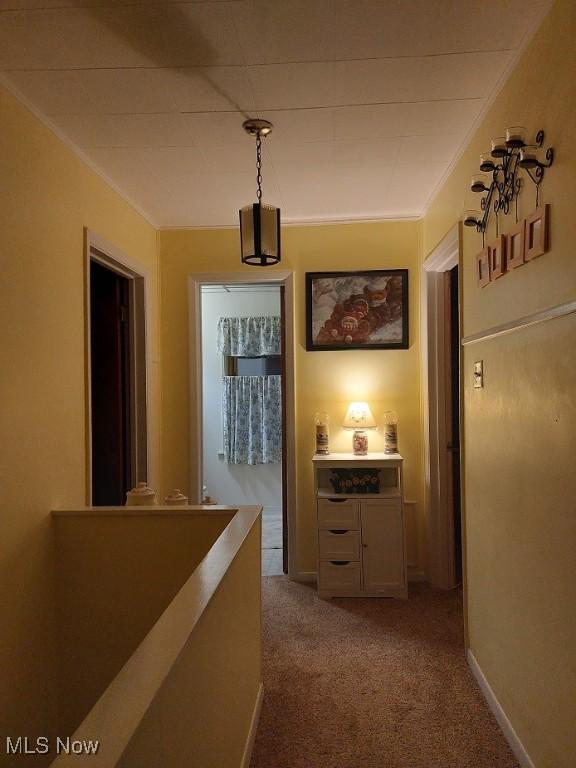 corridor with crown molding and light carpet