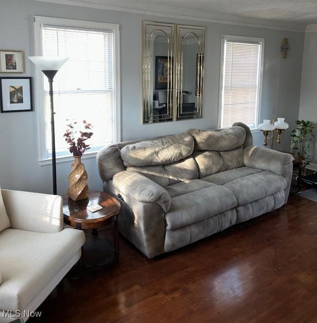 living room featuring plenty of natural light, dark hardwood / wood-style floors, and ornamental molding