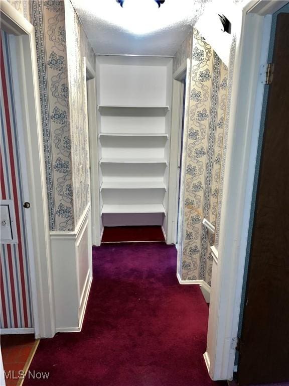 walk in closet with dark carpet