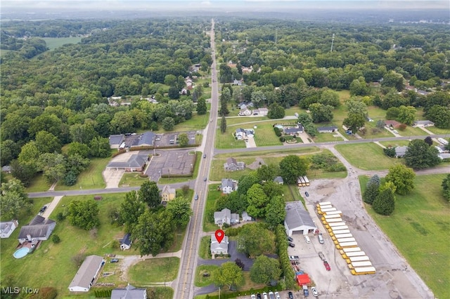 bird's eye view