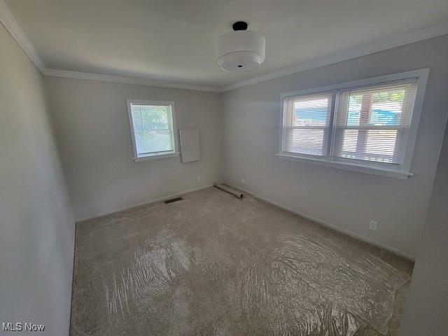 unfurnished room featuring crown molding, plenty of natural light, and carpet floors