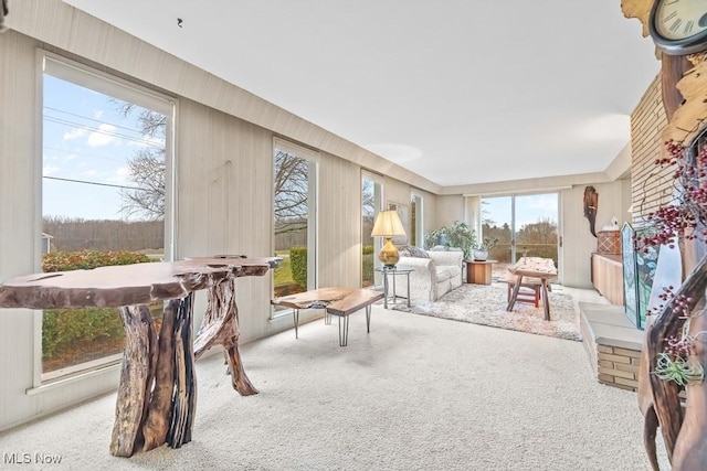 sunroom with a wealth of natural light