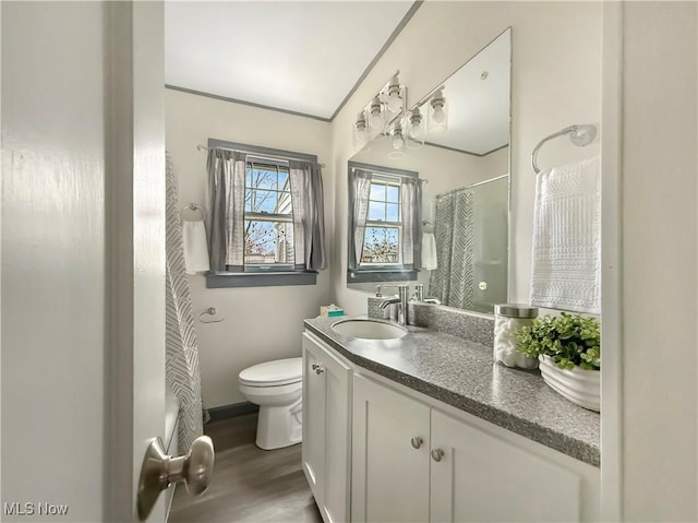 bathroom featuring a shower with curtain, vanity, hardwood / wood-style flooring, and toilet