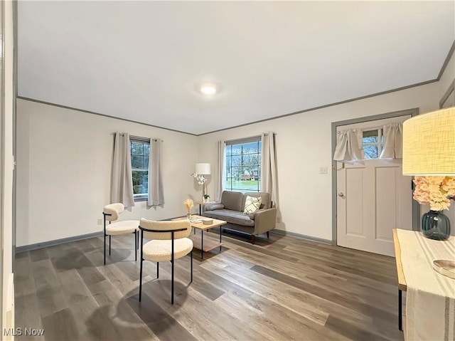 living room with dark hardwood / wood-style flooring