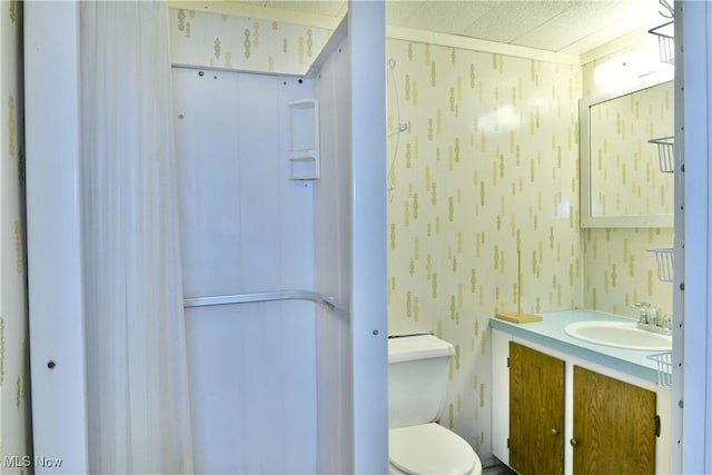 bathroom with vanity and toilet