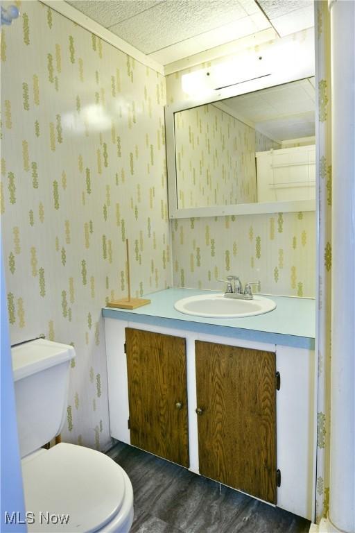 bathroom with wood-type flooring, vanity, and toilet