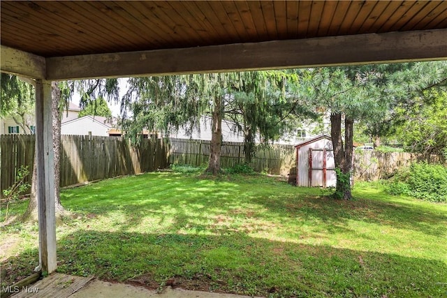 view of yard featuring a storage unit