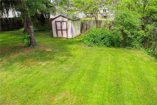 view of yard featuring a storage shed