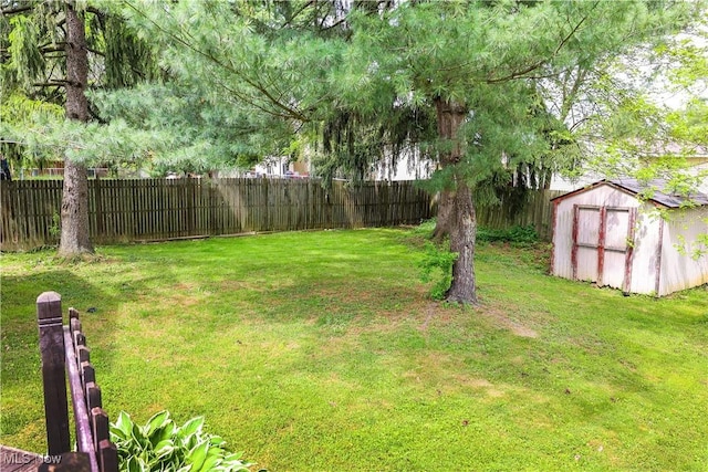 view of yard featuring a storage unit