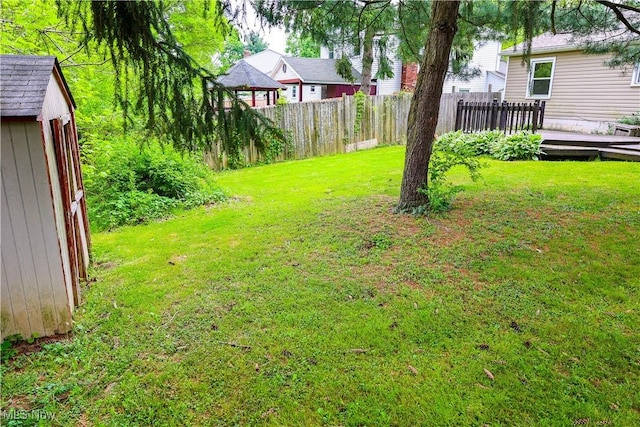 view of yard with a shed