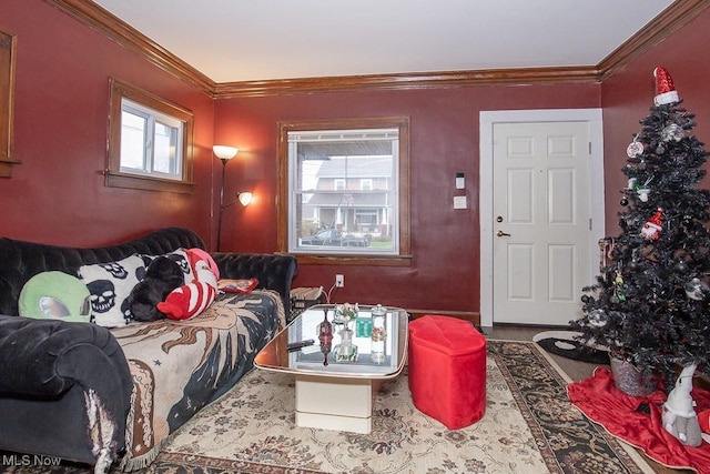 living room featuring crown molding