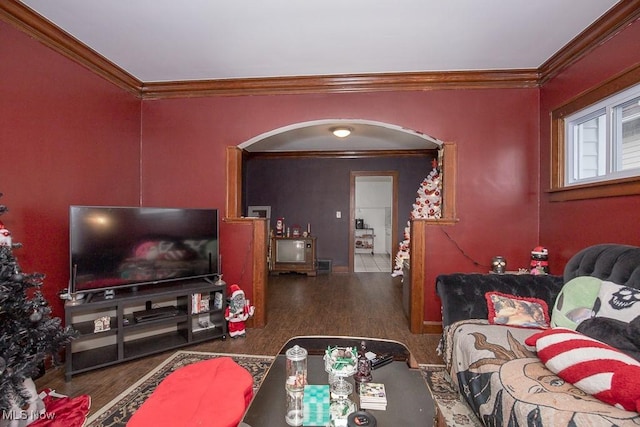 living room with crown molding and dark wood-type flooring