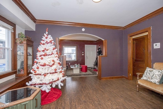 foyer featuring dark hardwood / wood-style flooring and ornamental molding