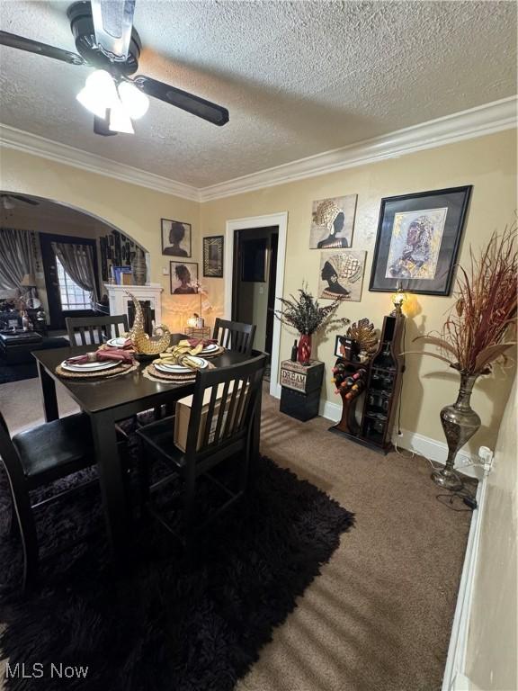 carpeted dining space with a textured ceiling, ceiling fan, and ornamental molding