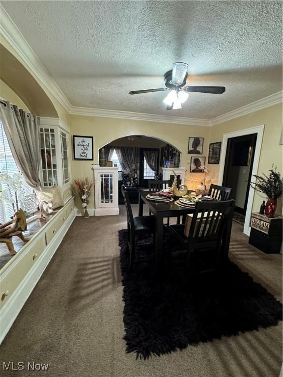 carpeted dining room with a textured ceiling, ceiling fan, and ornamental molding