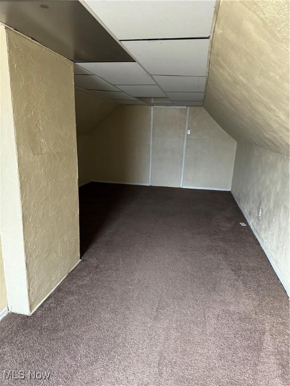 additional living space featuring dark colored carpet and vaulted ceiling