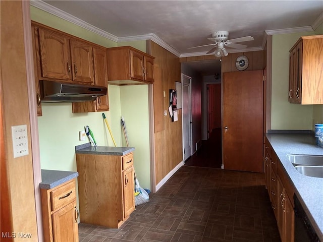 kitchen with ceiling fan, sink, and ornamental molding