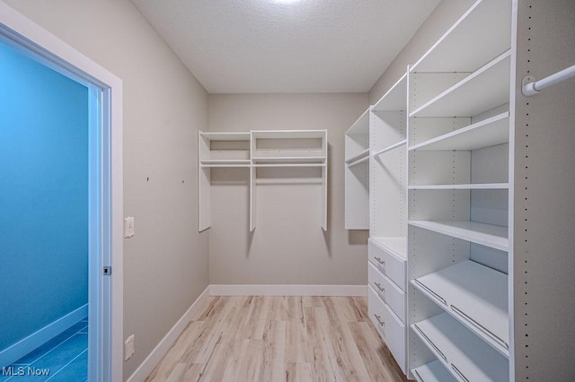 walk in closet featuring light hardwood / wood-style flooring