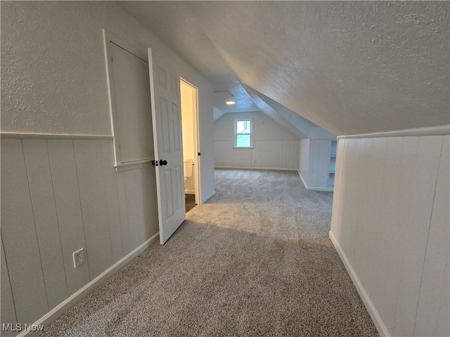 additional living space featuring lofted ceiling, carpet floors, and a textured ceiling