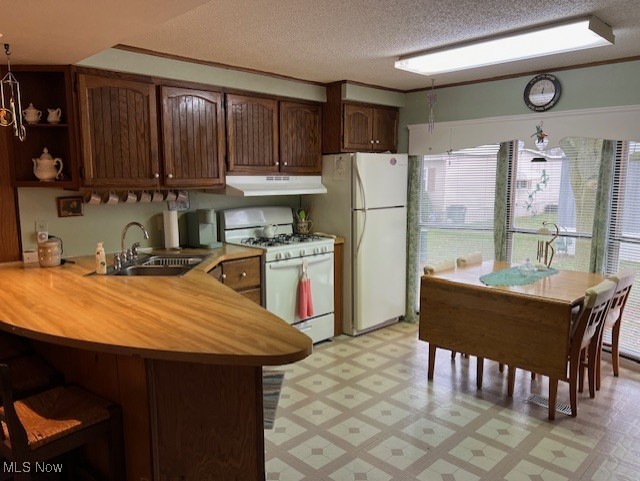 kitchen with kitchen peninsula, a healthy amount of sunlight, white appliances, and sink