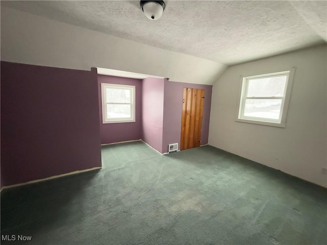 additional living space featuring a textured ceiling, carpet, and lofted ceiling