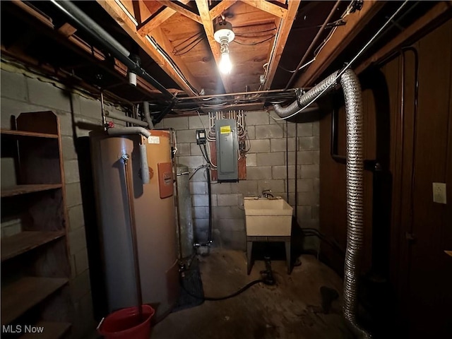 basement with electric panel and water heater