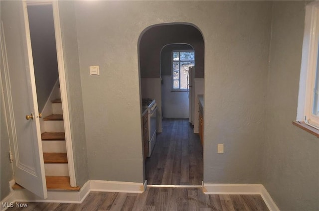 hall featuring dark hardwood / wood-style floors