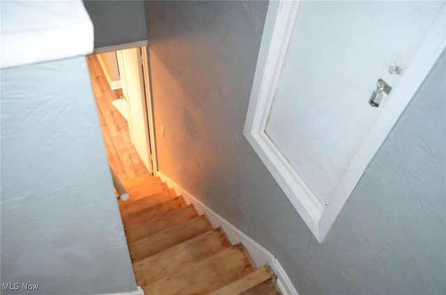 stairway with hardwood / wood-style flooring