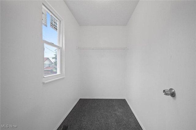 spacious closet with carpet floors