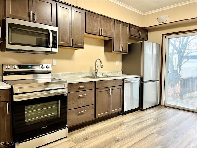 kitchen featuring sink, light wood-type flooring, dark brown cabinets, appliances with stainless steel finishes, and ornamental molding