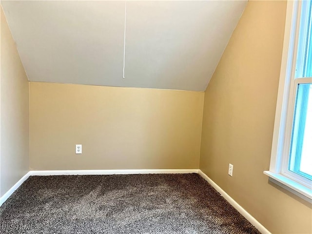 bonus room featuring carpet floors and vaulted ceiling