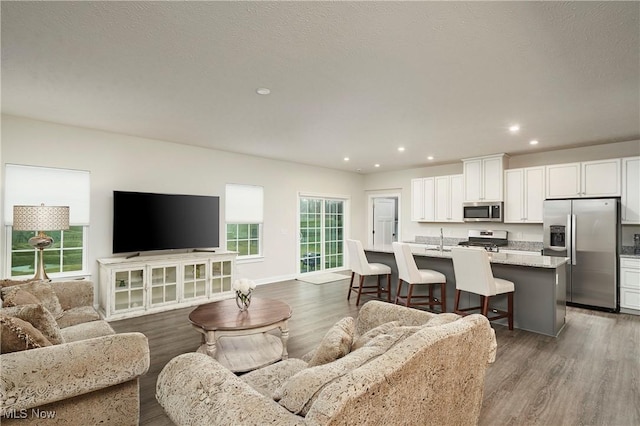 living room featuring dark wood-type flooring and sink