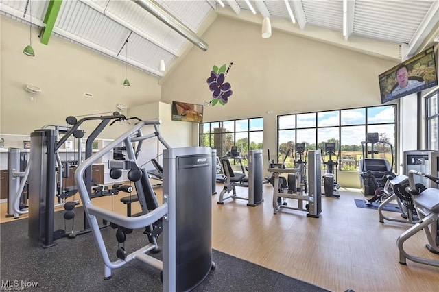 exercise room featuring high vaulted ceiling and wood-type flooring