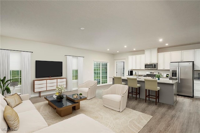 living room with a textured ceiling and light hardwood / wood-style floors